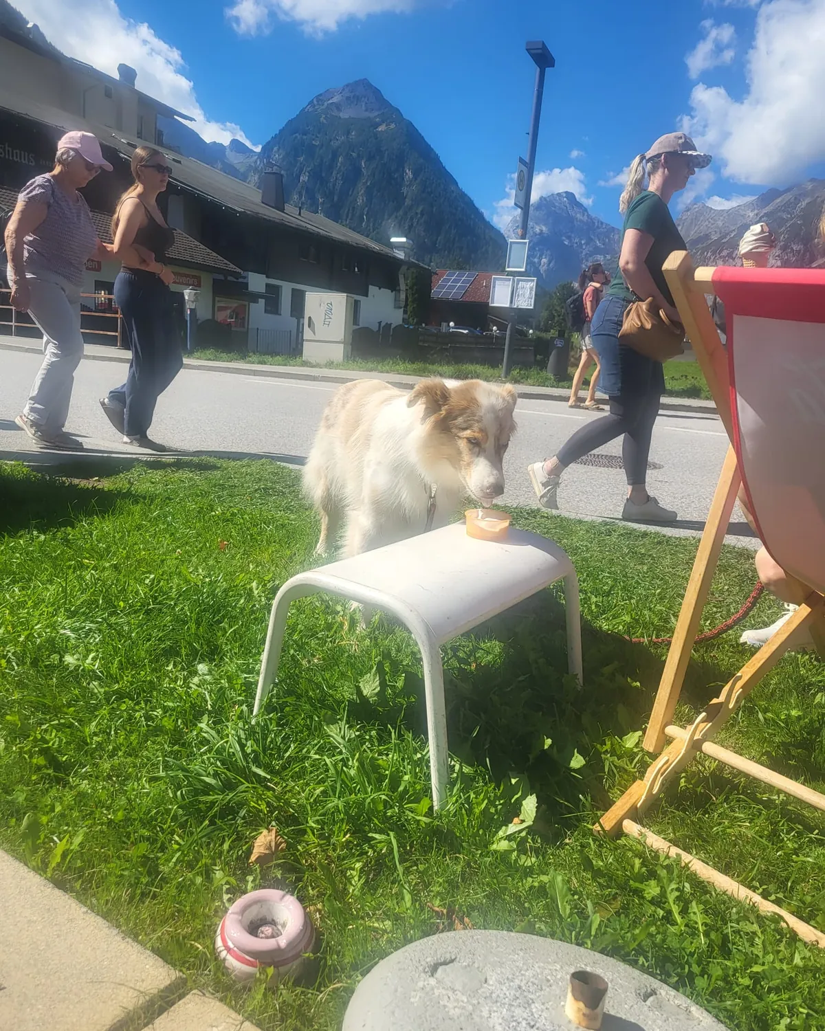Un cane sul prato accanto alle sdraio sulla passeggiata del lago a Pertisau